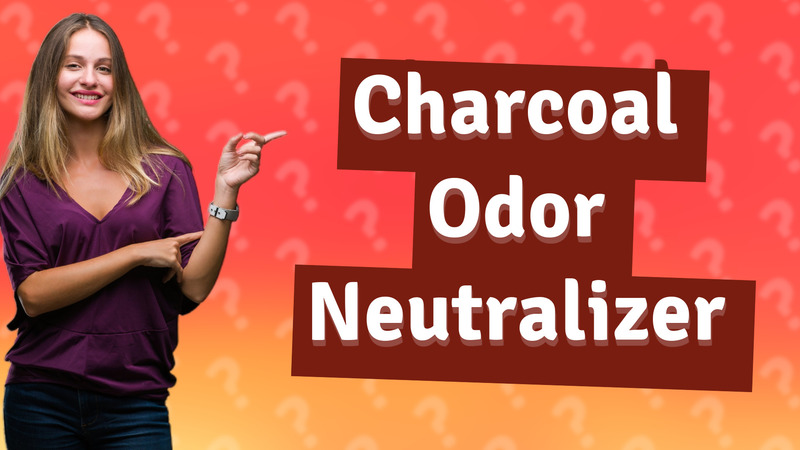 Charcoal Odor Neutralizer