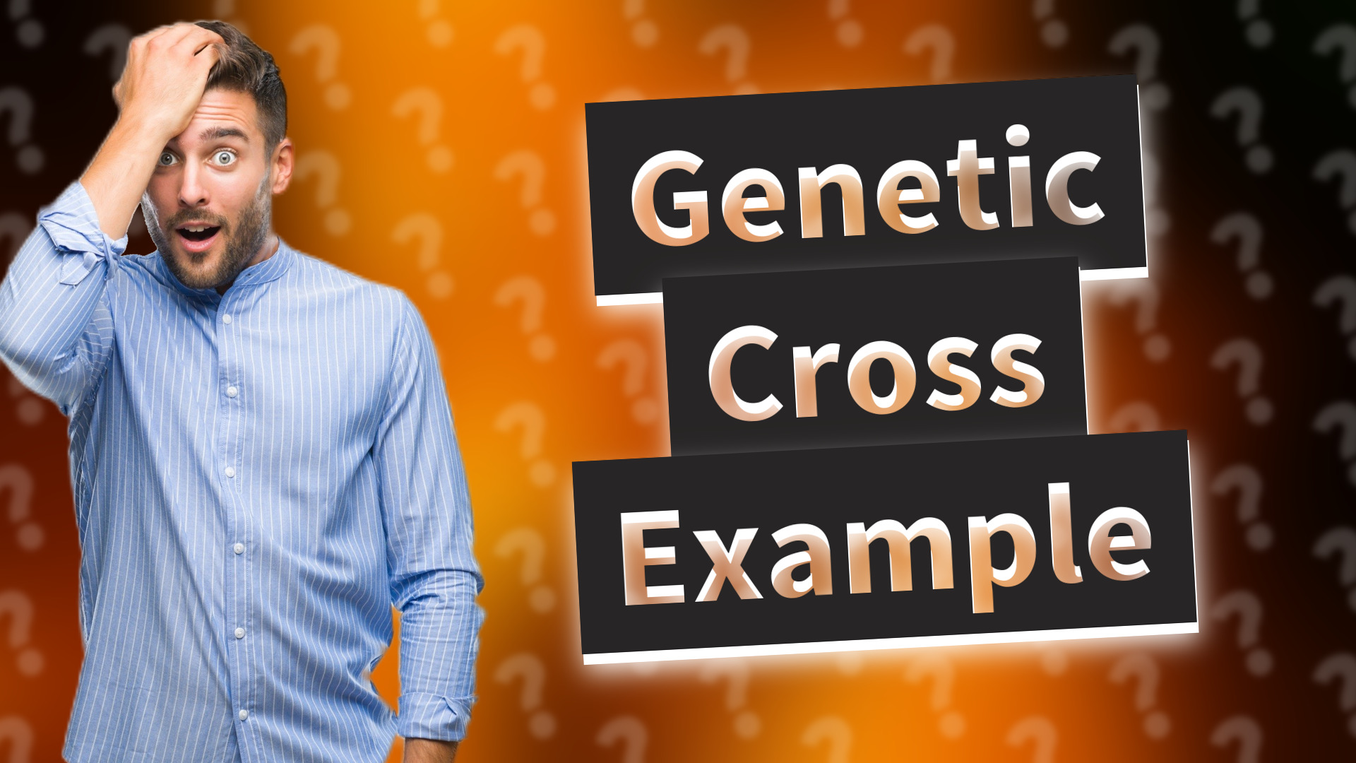 Genetic Cross Example
