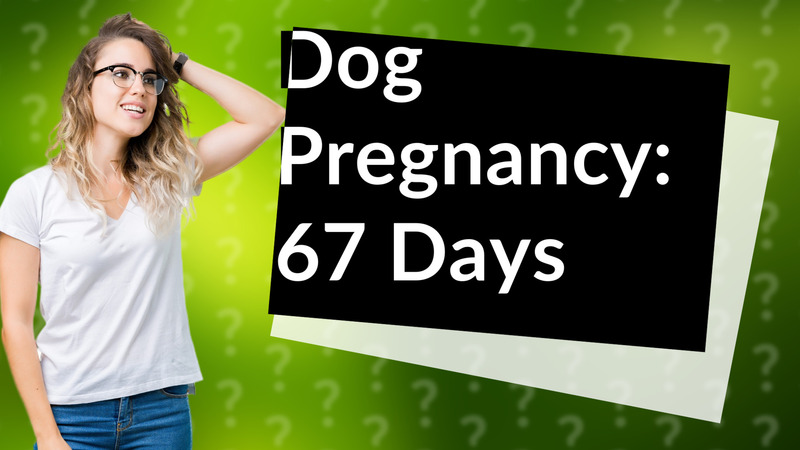 Dog Pregnancy: 67 Days