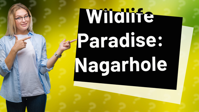 Wildlife Paradise: Nagarhole