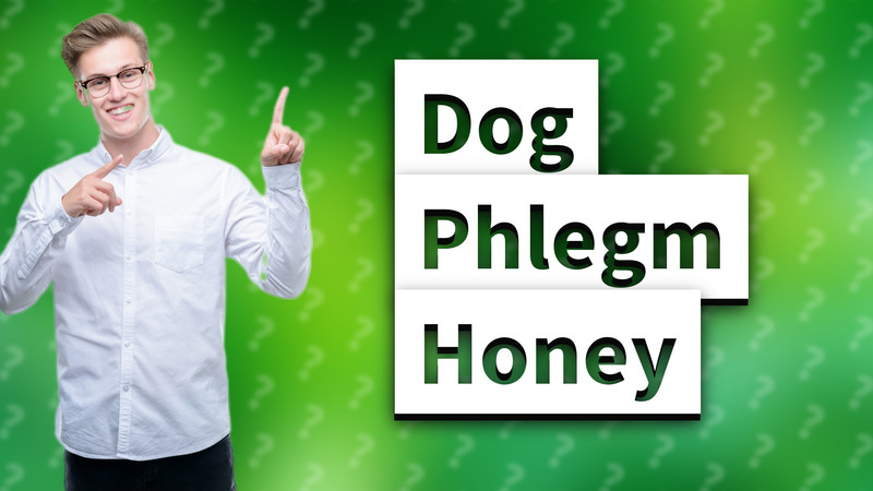 Dog Phlegm Honey