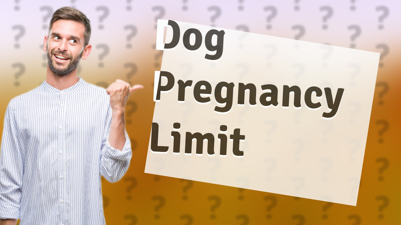Dog Pregnancy Limit