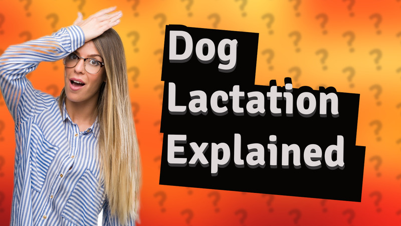 Dog Lactation Explained