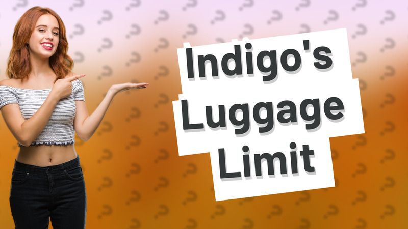 Indigo's Luggage Limit