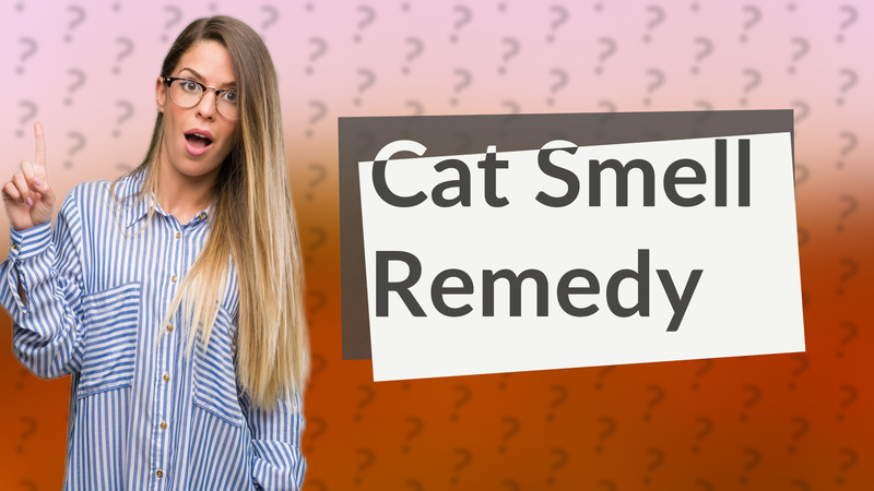 Cat Smell Remedy