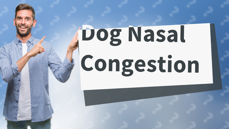 Dog Nasal Congestion