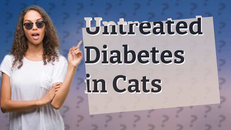 Untreated Diabetes in Cats