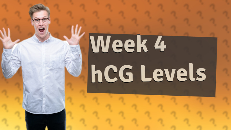 Week 4 hCG Levels