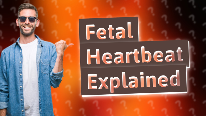 Fetal Heartbeat Explained