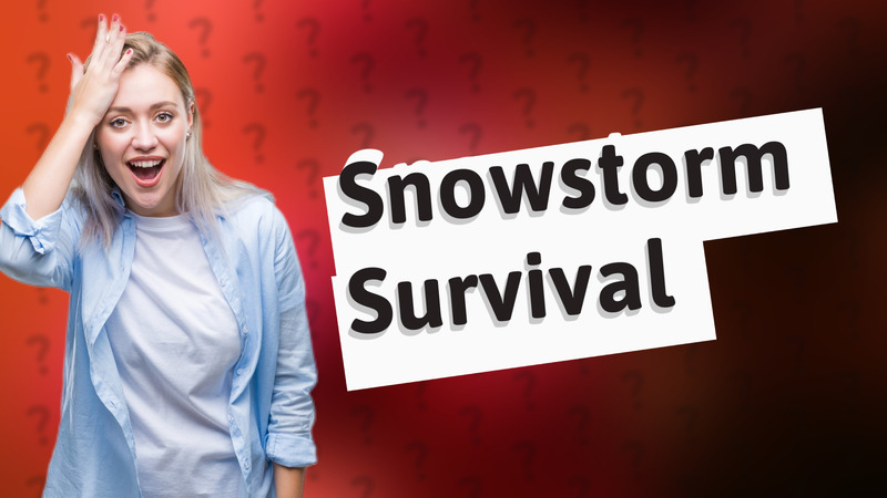 Snowstorm Survival