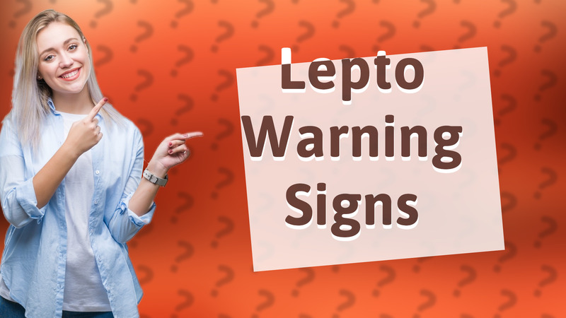 Lepto Warning Signs