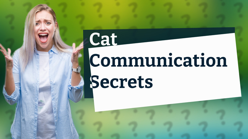 Cat Communication Secrets