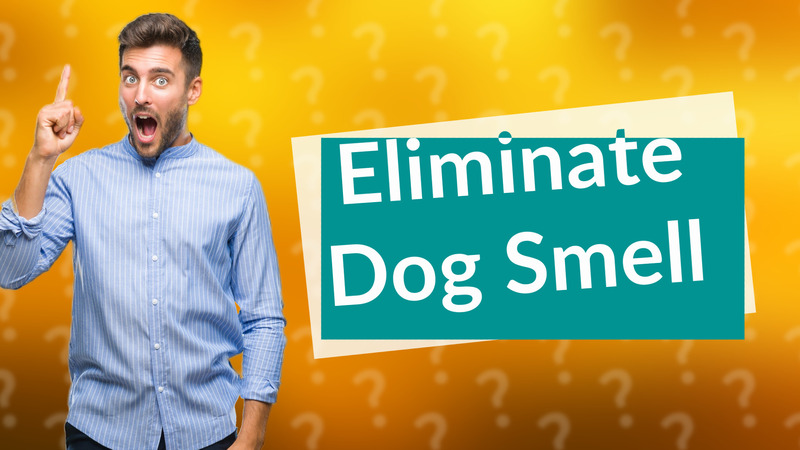 Eliminate Dog Smell