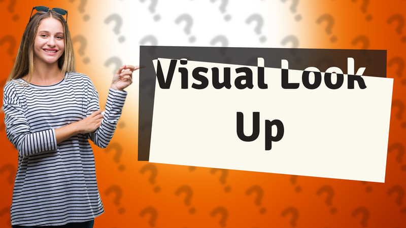 Visual Look Up