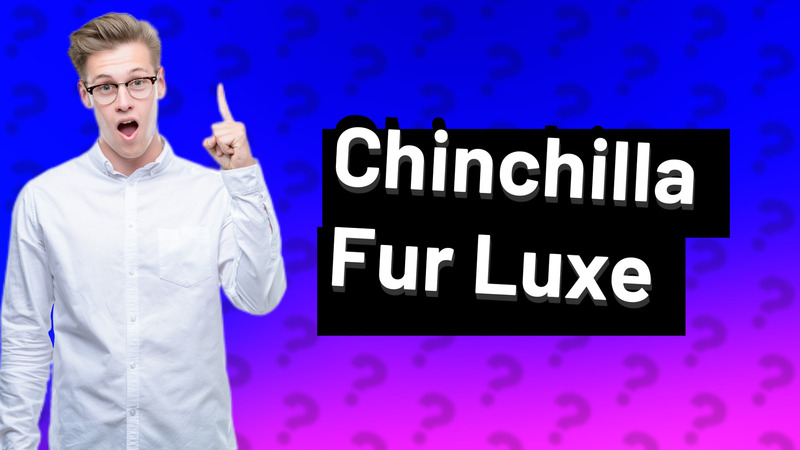 Chinchilla Fur Luxe