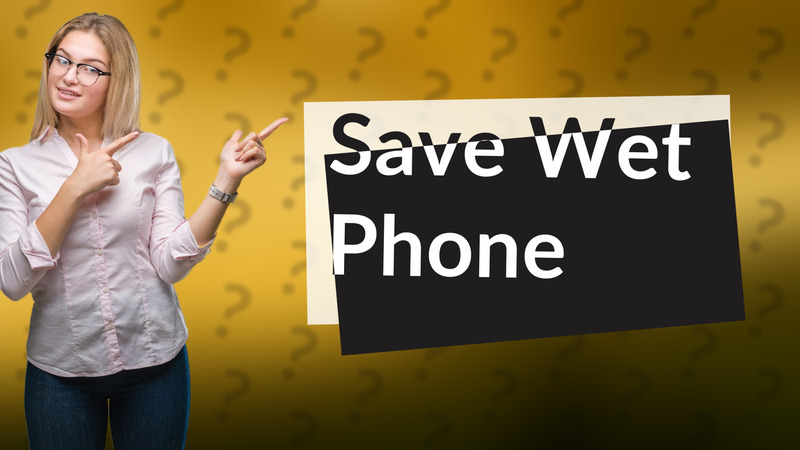Save Wet Phone
