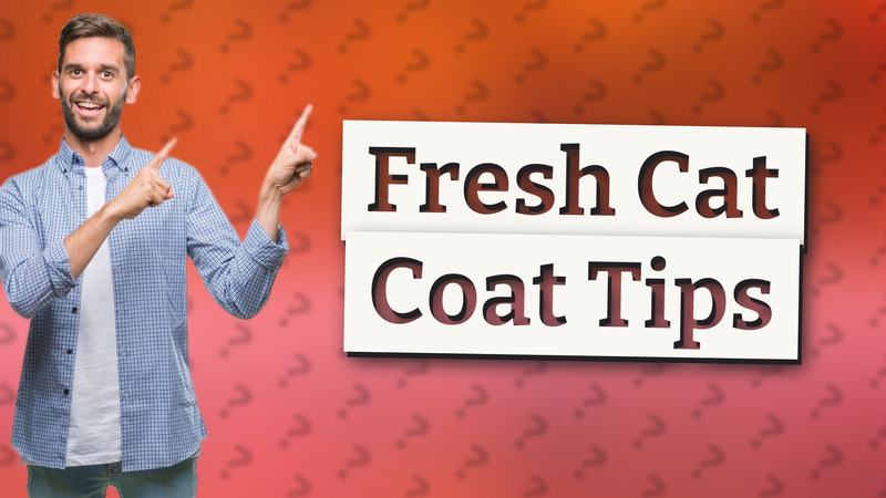 Fresh Cat Coat Tips