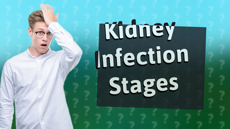 Kidney Infection Stages