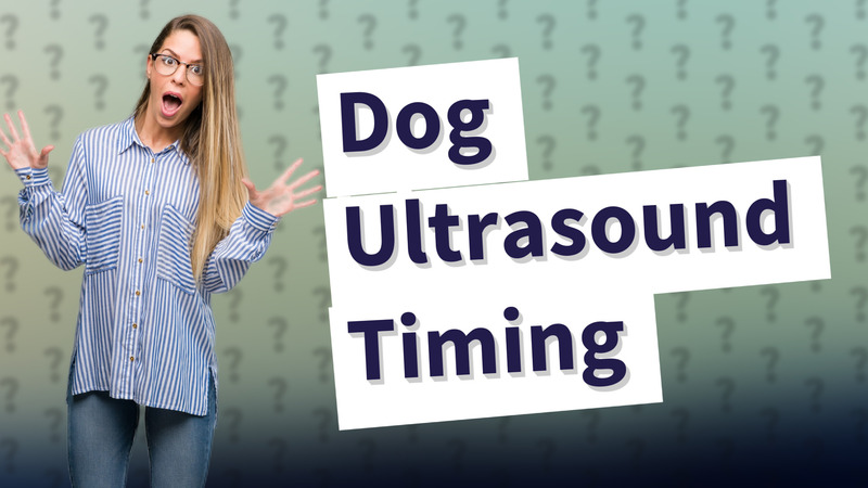 Dog Ultrasound Timing