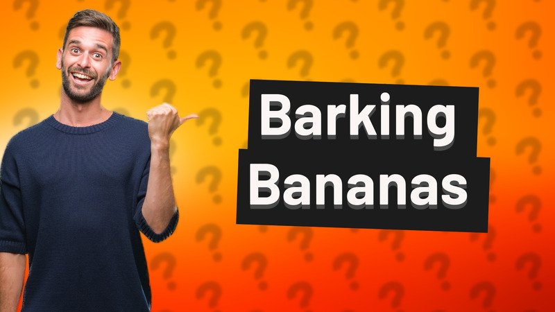 Barking Bananas