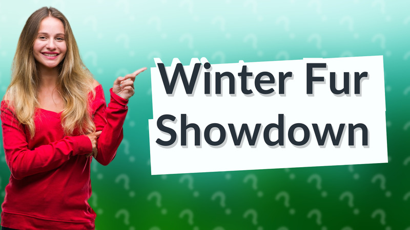 Winter Fur Showdown