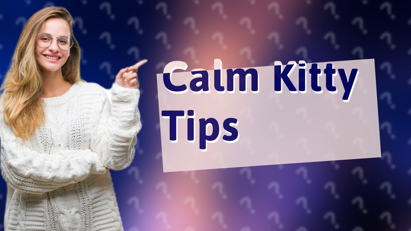 Calm Kitty Tips