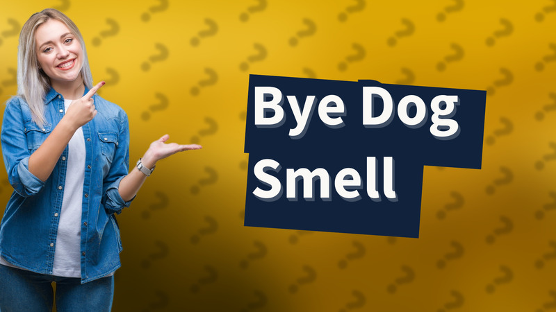 Bye Dog Smell