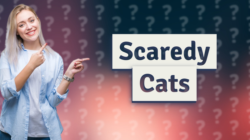 Scaredy Cats