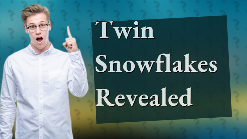 Twin Snowflakes Revealed