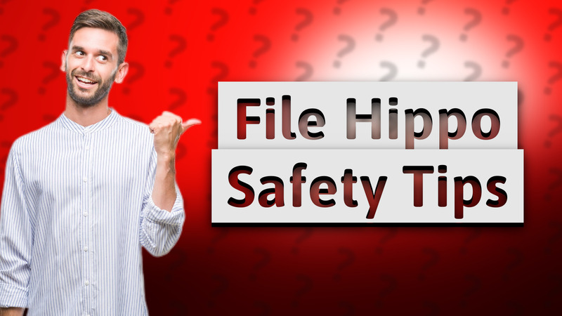 File Hippo Safety Tips