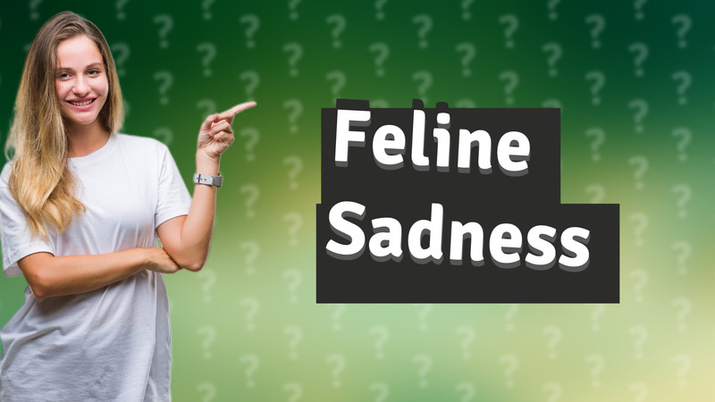 Feline Sadness