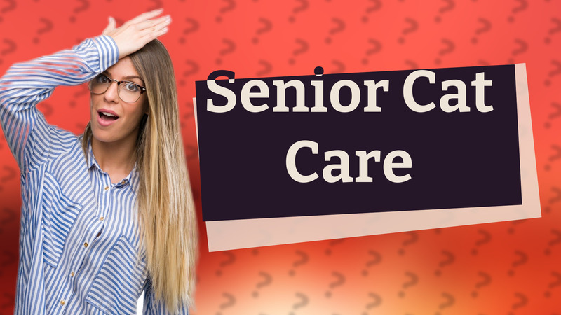 Senior Cat Care