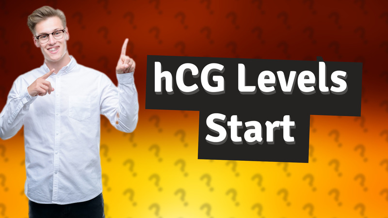 hCG Levels Start