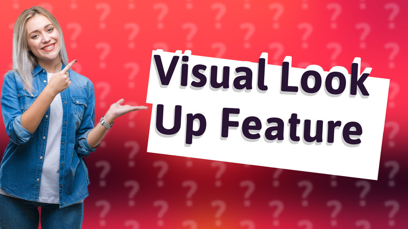 Visual Look Up Feature