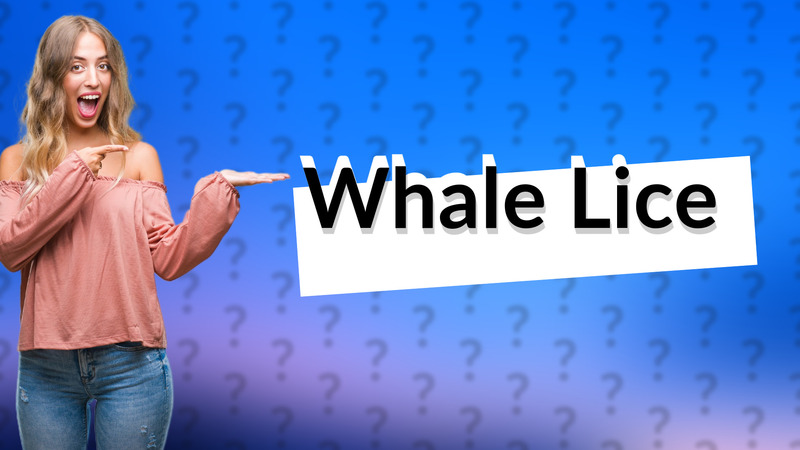 Whale Lice