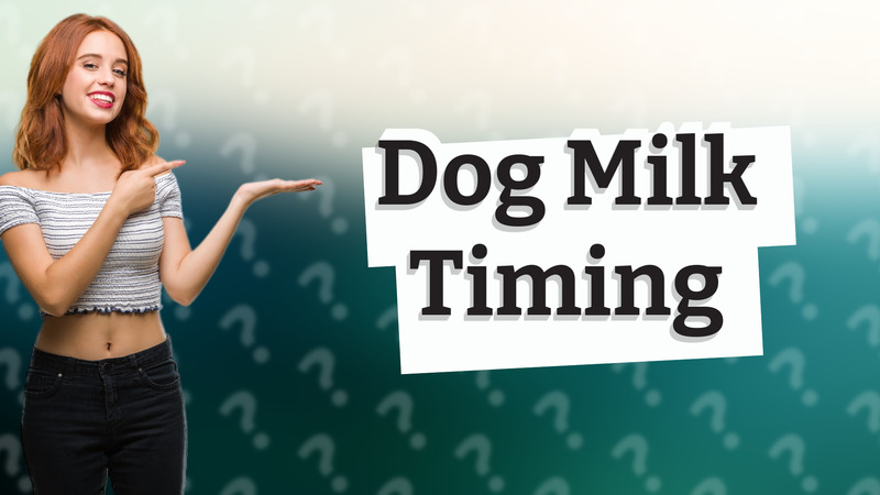 Dog Milk Timing