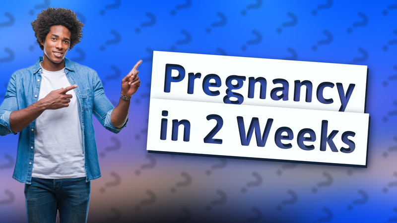 Pregnancy in 2 Weeks