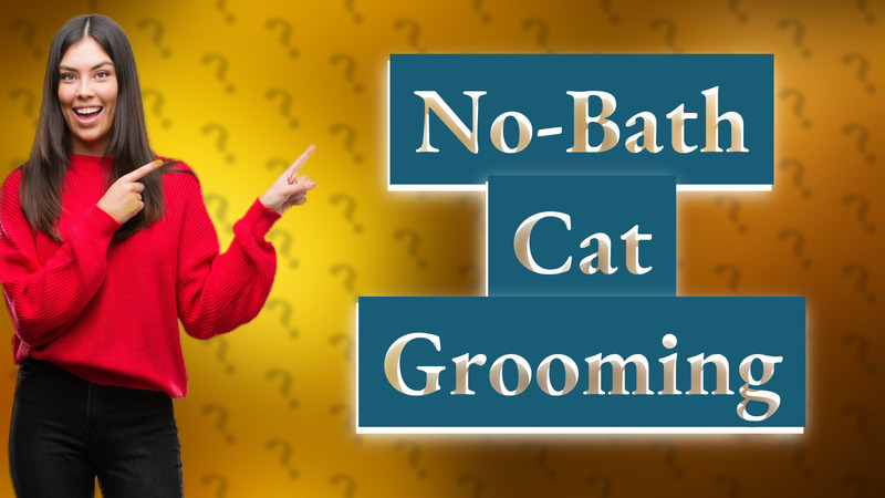 No-Bath Cat Grooming