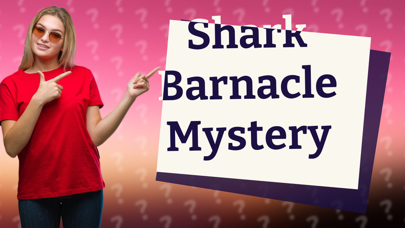 Shark Barnacle Mystery