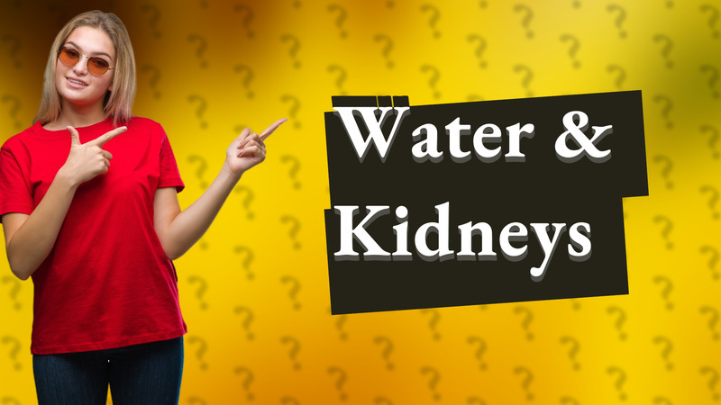 Water & Kidneys