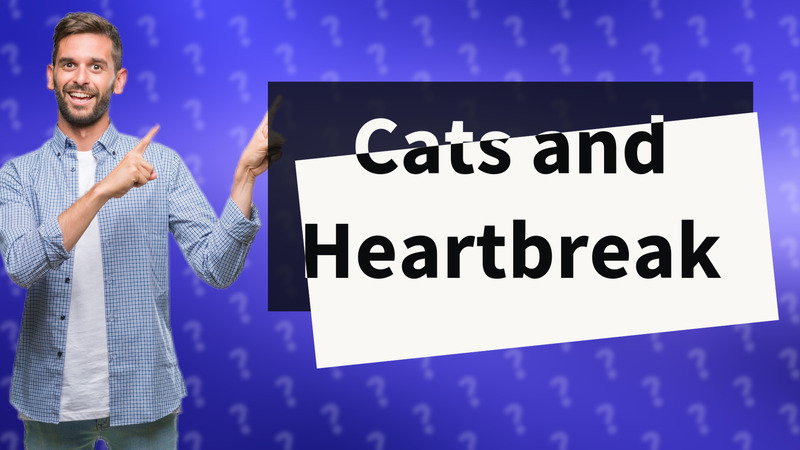 Cats and Heartbreak