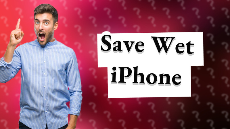 Save Wet iPhone