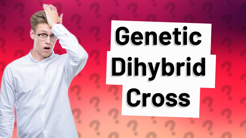 Genetic Dihybrid Cross