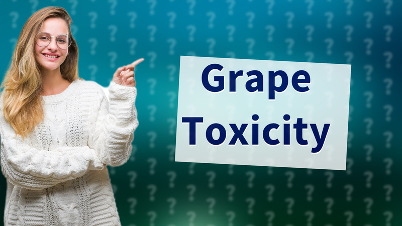 Grape Toxicity