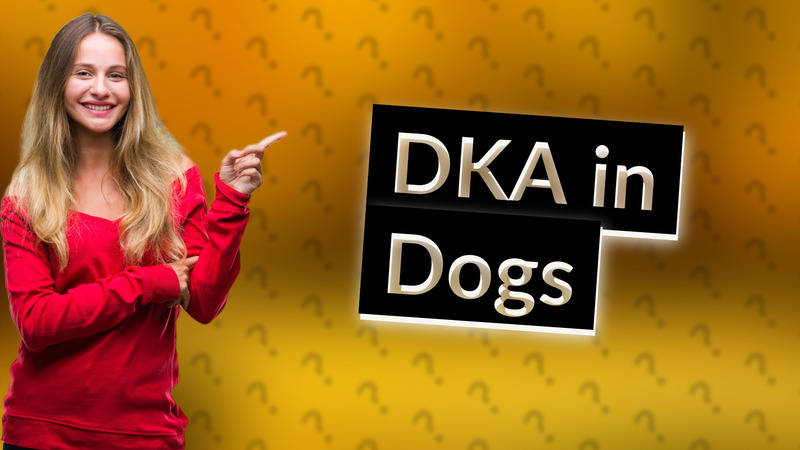 DKA in Dogs