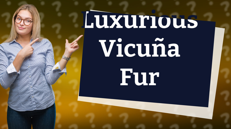 Luxurious Vicuña Fur