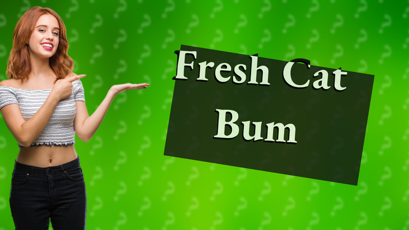 Fresh Cat Bum