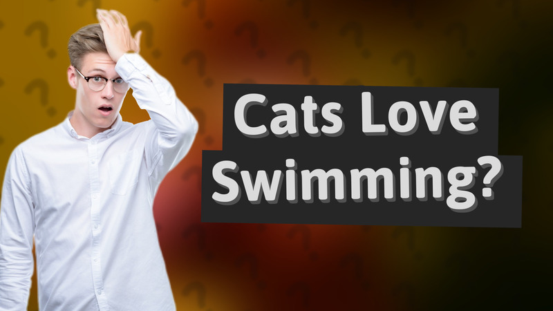 Cats Love Swimming?