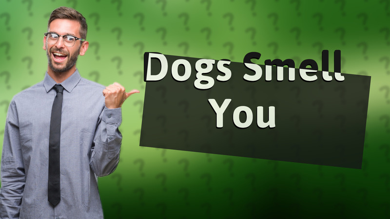 Dogs Smell You