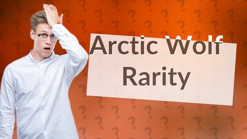 Arctic Wolf Rarity